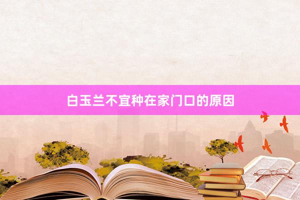 白玉兰不宜种在家门口的原因