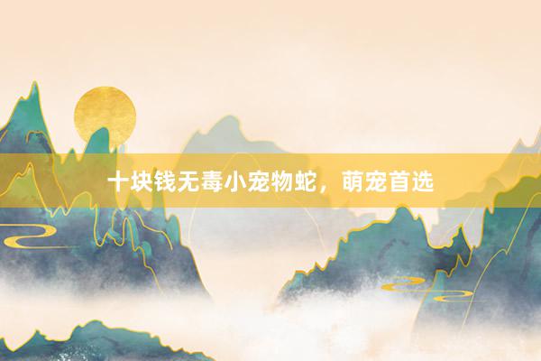 十块钱无毒小宠物蛇，萌宠首选