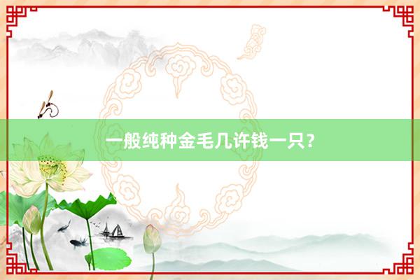 一般纯种金毛几许钱一只？